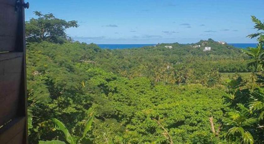 Bamboojam Villa لاس تاريناس المظهر الخارجي الصورة