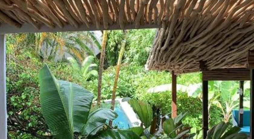Bamboojam Villa لاس تاريناس المظهر الخارجي الصورة